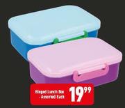 Hinged Lunch Box Assorted-Each