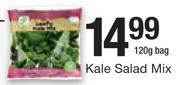 Kale Salad Mix-120g Bag