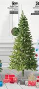 Noble Pine Christmas Tree 90cm-Each