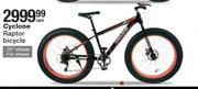 Cyclone Raptor Bicycle-Each