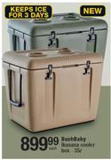 Bush Baby 35Ltr Ikusasa Cooler Box-Each