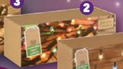 Santa's Choice Indoor Fairy Lights 50 Per Pack