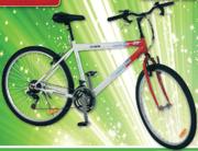 Dominator Mountain Bicycle