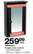 Wildberry Single-Door Cabinet