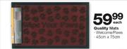 Quality Welcome/Paws Mats-45cm x 75cm 