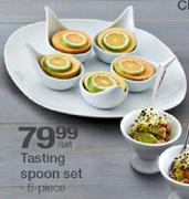 Tasting Spoon Set-6 Piece Each
