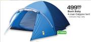 Bush Baby 4-Man Calypso Tent-Each