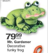 Mr. Gardner Decorative Funky Frog