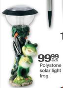 Polystone Solar Light Frog