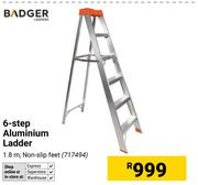 Badger 6-step Aluminium Ladder 1.8m 717494