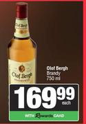 Olof Bergh Brandy-750ml