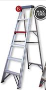 Commercial Ladder 6 Step DASG6
