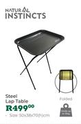 Natural Instincts Steel Lap Table