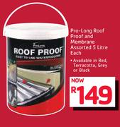 Pro-Long Roof Proof And Membrane-5Ltr Each