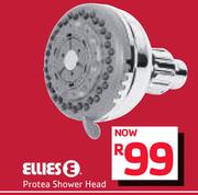 Ellies Protea Shower Head