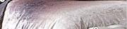 Ombre Velvet Duvet Cover Set (King)