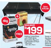 Kalahari Large Braai With Free Ignite Briquettes 4kg And Lighterball's 6 Pack 60 x 30 x 14cm