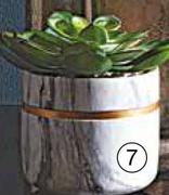 Marble Potted Plant