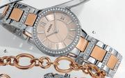 Fossil Watch