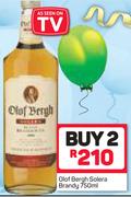 Olof Bergh Solera Brandy-2 x 750ml