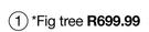 Fig Tree 