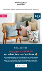 Yuppiechef : Thread Office Select Scatter Cushions (Request Valid Date From Retailer)