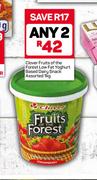 Clover Fruits Of The Forest Low Fat Yoghurt Based Dairy Snack Assorted-2 x 1Kg