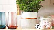 Glass Jar With Clamp