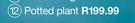 Potted Plant