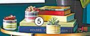 Assorted Small Potted Plants-Each