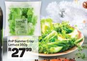 PnP Summer Crisp Lettuce-350g