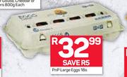 PnP Large Eggs-18's