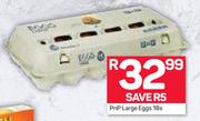 PnP Large Eggs-18's