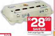 Pnp Large Eggs-18's