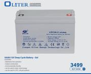 Oliter 100AH 12V Deep Cycle Battery-Gel