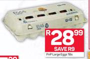 Pnp Large Eggs-18's Pack