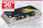 PnP Large All Grain Eggs-18's