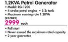 Ryobi 1.2KVA Petrol Generator RG-1200