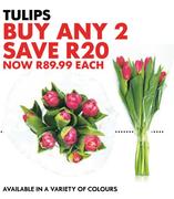 Tulips In Variety Of Colours-Each