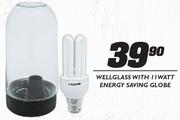 Wellglass With 11 Watt Energy Saving Globe