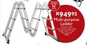 Multi-Purpose Ladder