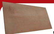 Shutterply For Structural Use 1220x2440x21mm