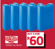 Seagull 100ml Ice Brick-For 5