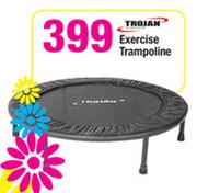 Trojan Exercise Trampoline