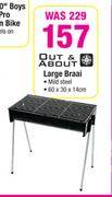 Out & About Large Braai