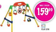 Little One Play Gym