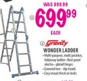 Gravity Wonder Ladder