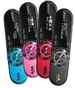 Sony 2GB MP3 Player (NWZ-B162)