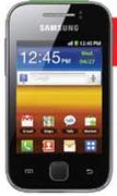 Samsung Galaxy Y(S5360)