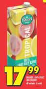 Rhodes 100% Fruit Juice Blend All Variants-1L Each